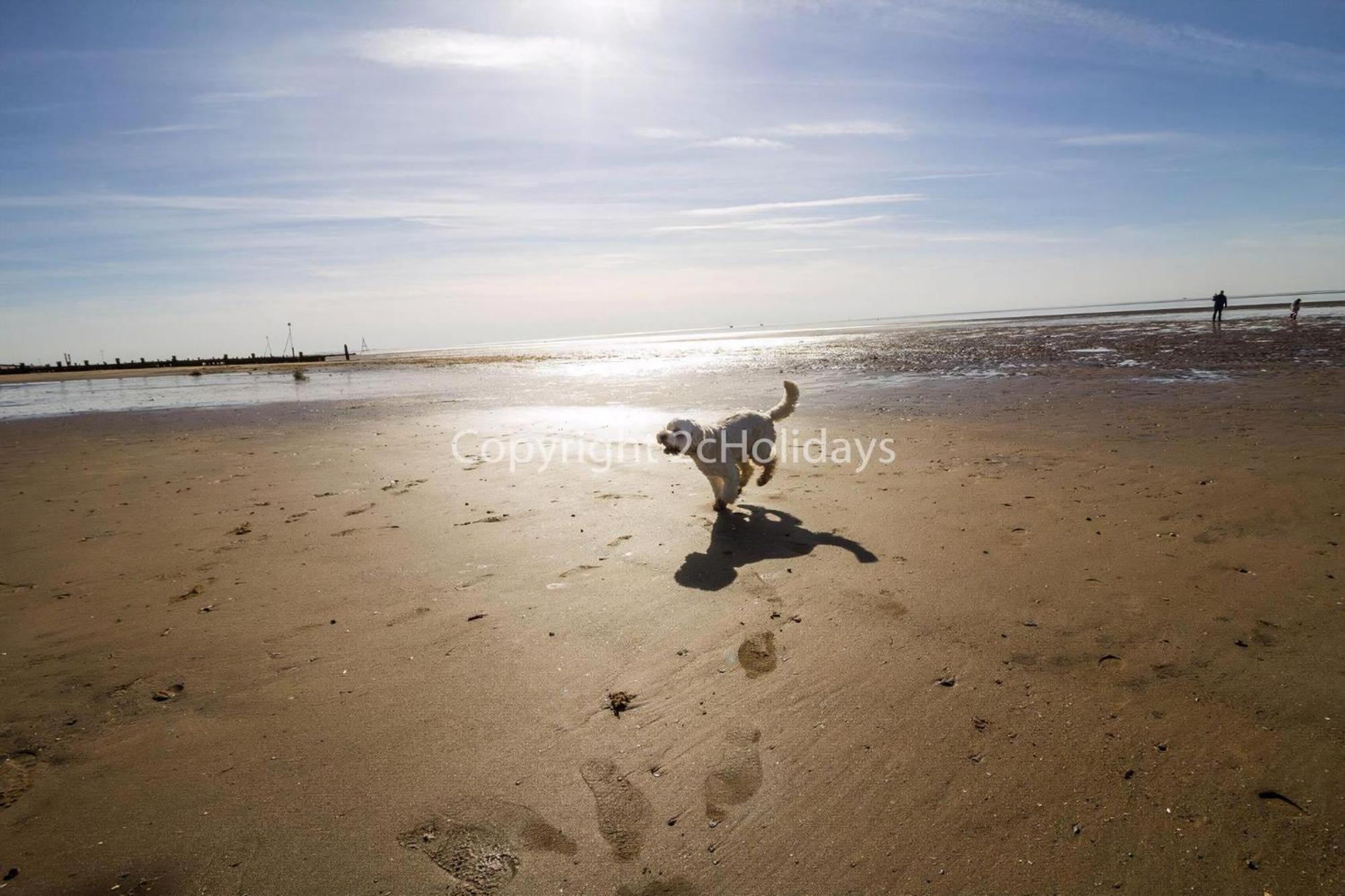 6 Berth Dog Friendly Caravan In Hunstanton, Minutes From The Beach Ref 13013L מראה חיצוני תמונה